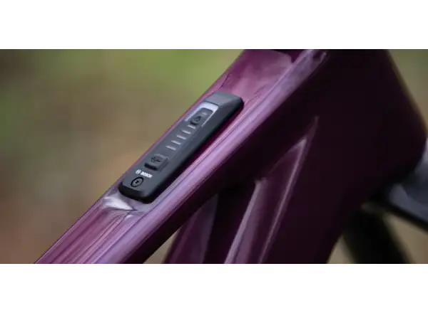 Superior iXF 9.8 mountain e-bike matte berry carbon