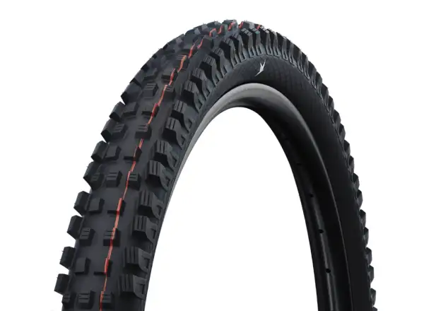 Schwalbe Magic Mary Trail TLR tire kevlar