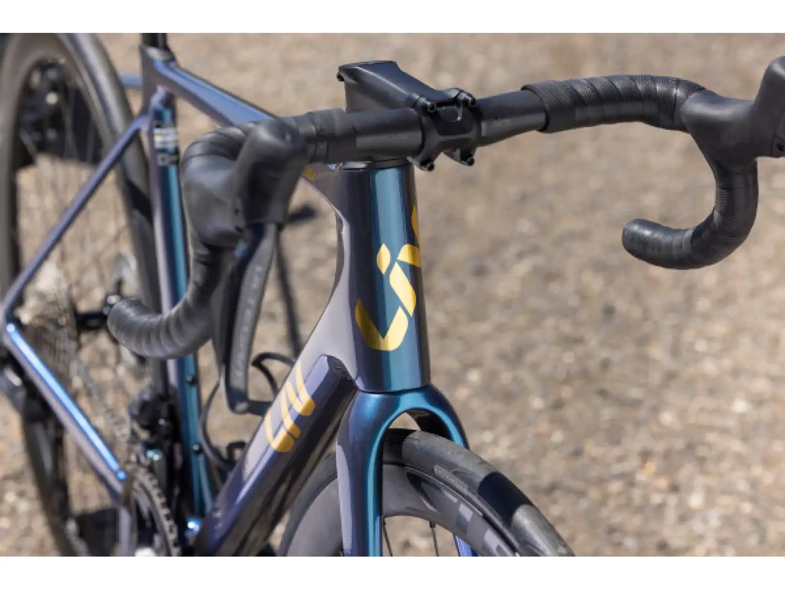 Liv Langma Advanced Pro 0 PC road bike Ocean Twilight