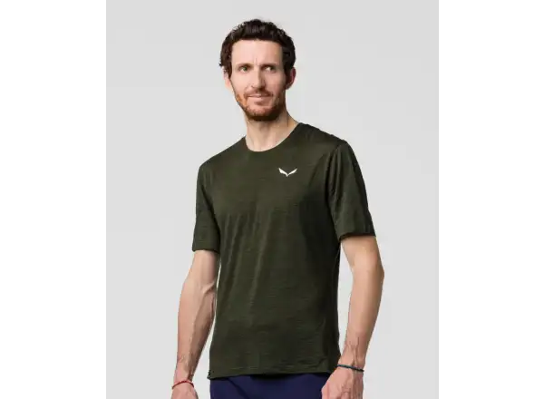 Salewa Eagle Minilogo Alpine Merino men's T-shirt short sleeve Olive Green