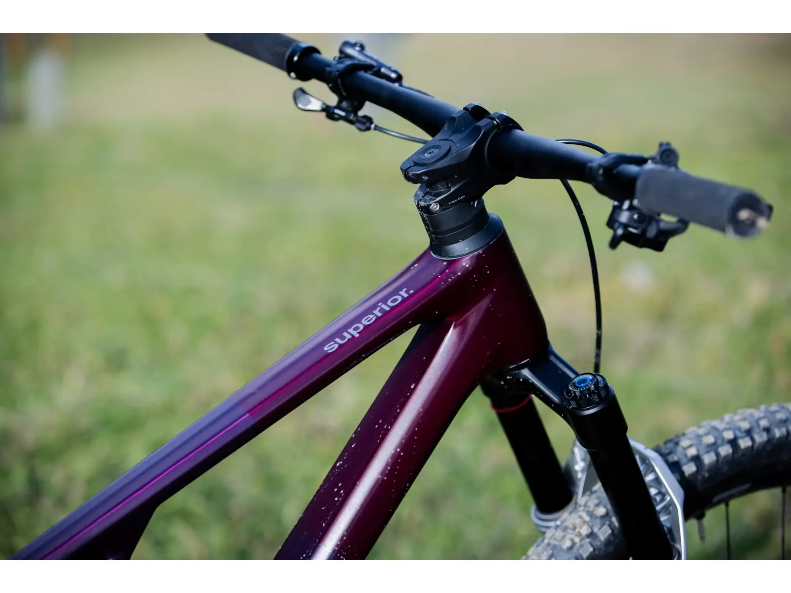 Superior XF 9.7 DC mountain bike Matte Berry Carbon
