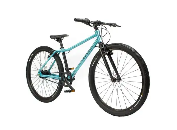 Rascal 26 7 sp. Shimano Nexus kids bike Aquamarin