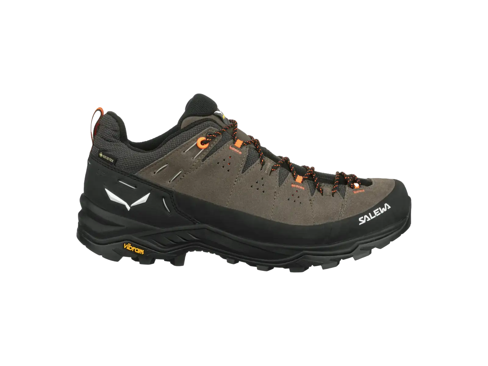 Salewa Alp Trainer 2 GTX men's shoes Bungee Cord/Black