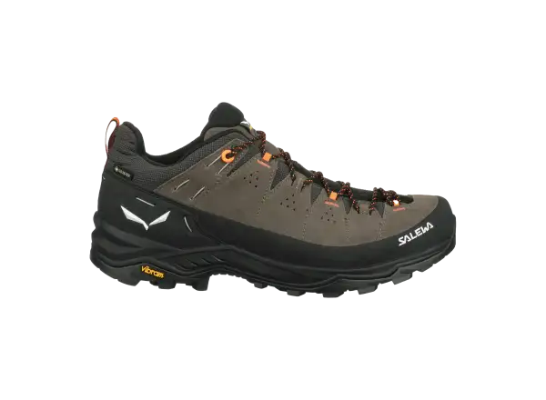 Salewa Alp Trainer 2 GTX men's shoes Bungee Cord/Black