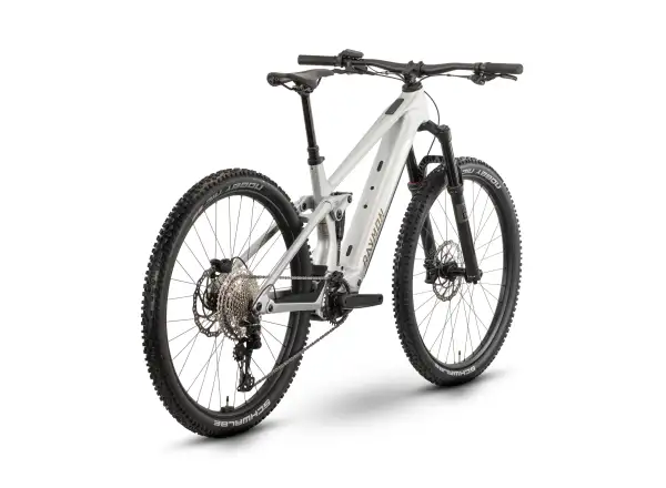 Raymon Airok full suspension e-bike Silver Stealth/Taupe
