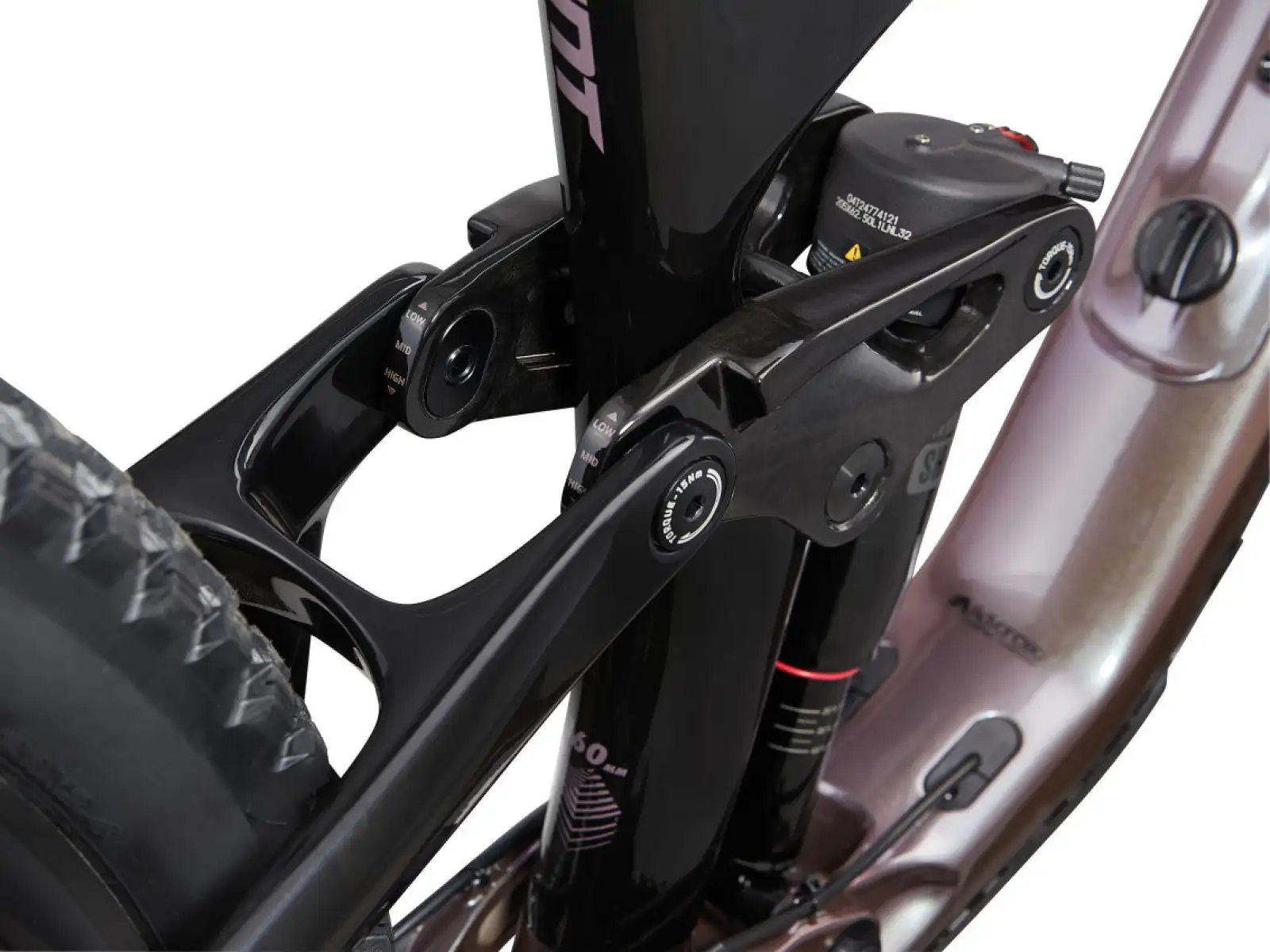 Giant Reign Advanced Pro 2 mountain bike Orion Nebula/Carbon