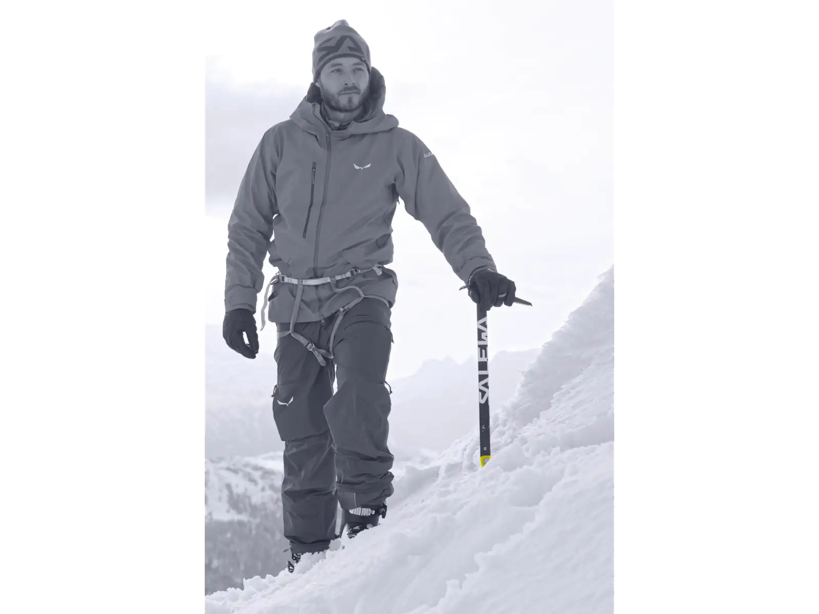 Salewa Alpine-X ice axe 65 cm