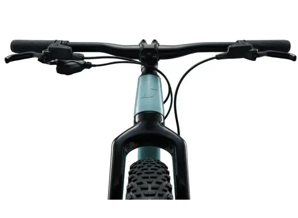 Liv STP 20 kids mountain bike Soap Suds
