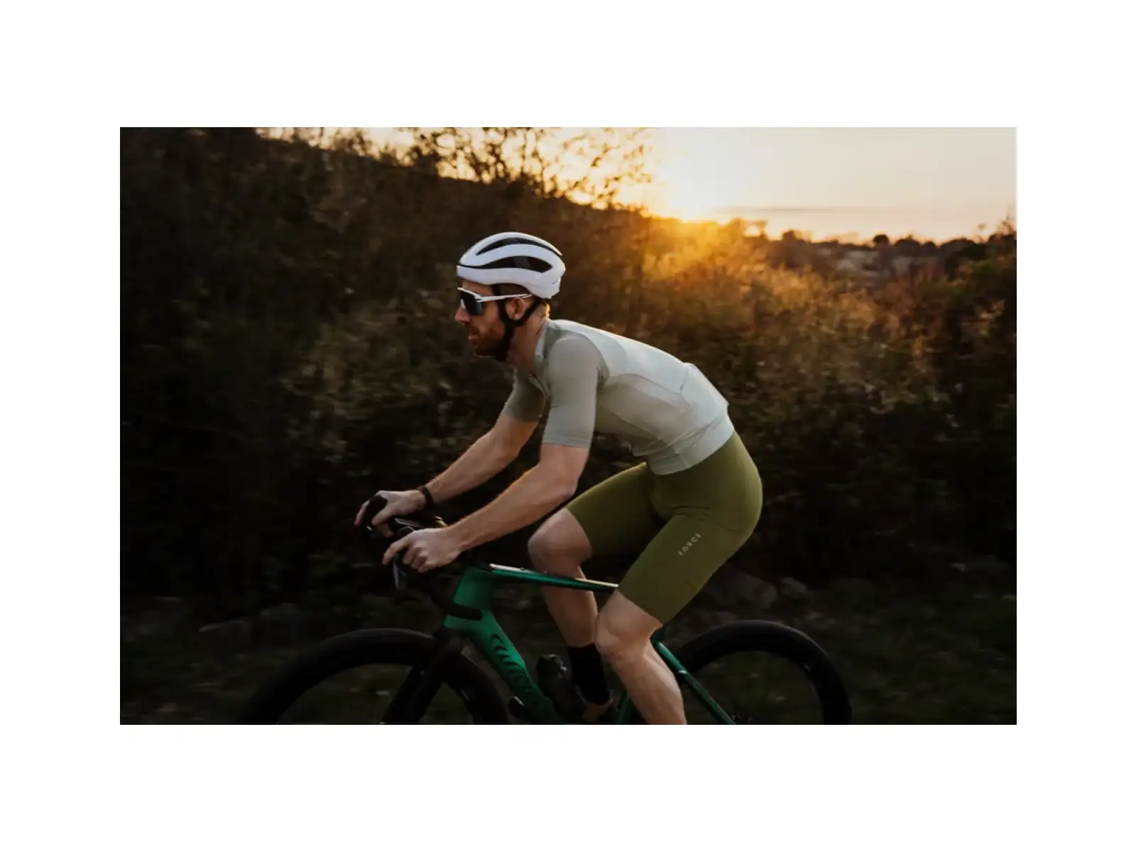 Force Script men's jersey short sleeve olive