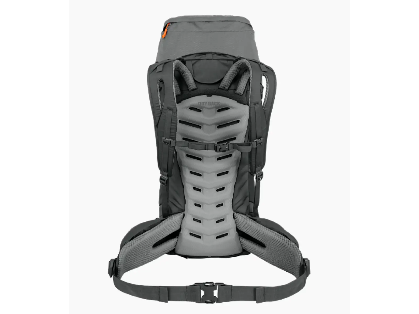 Salewa Alptrek hiking backpack 42+5 l Shadow/Dark Olive