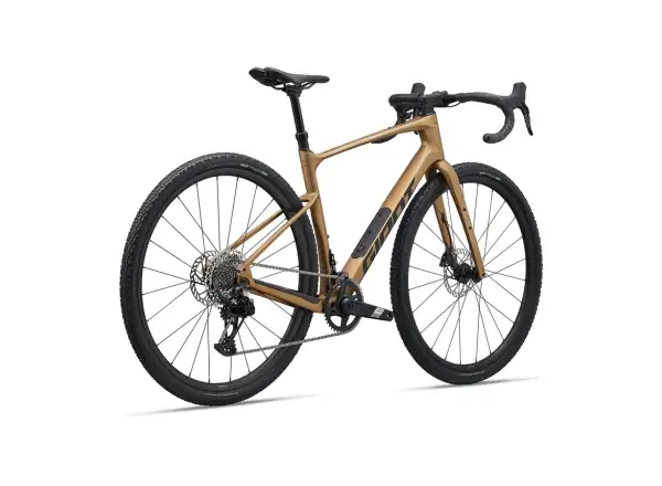 Giant Revolt Advanced 1 gravel bike Steampunk