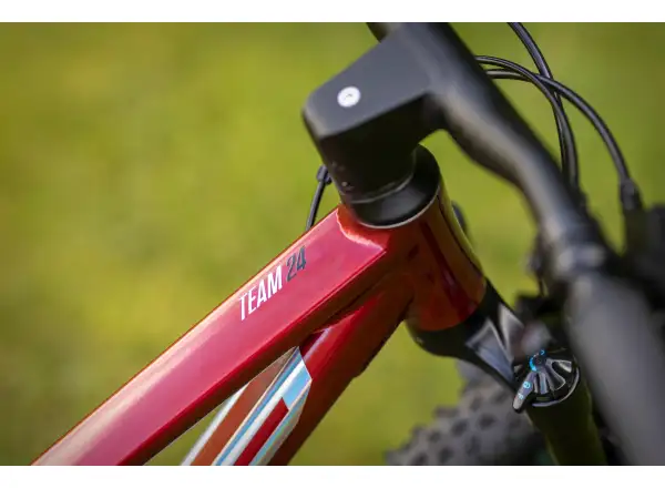 Superior Team 24 Gloss Dark Red/Hologram Chrome children's mountain bike