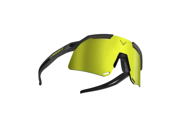 Dynafit Ultra Evo sunglasses Black/Gold