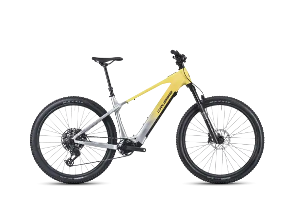 Crussis e-Largo AX 10.12-M2S(800) mountain e-bike