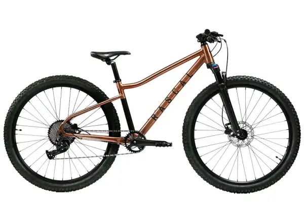 Rascal Wild 27 children's bike Bronze