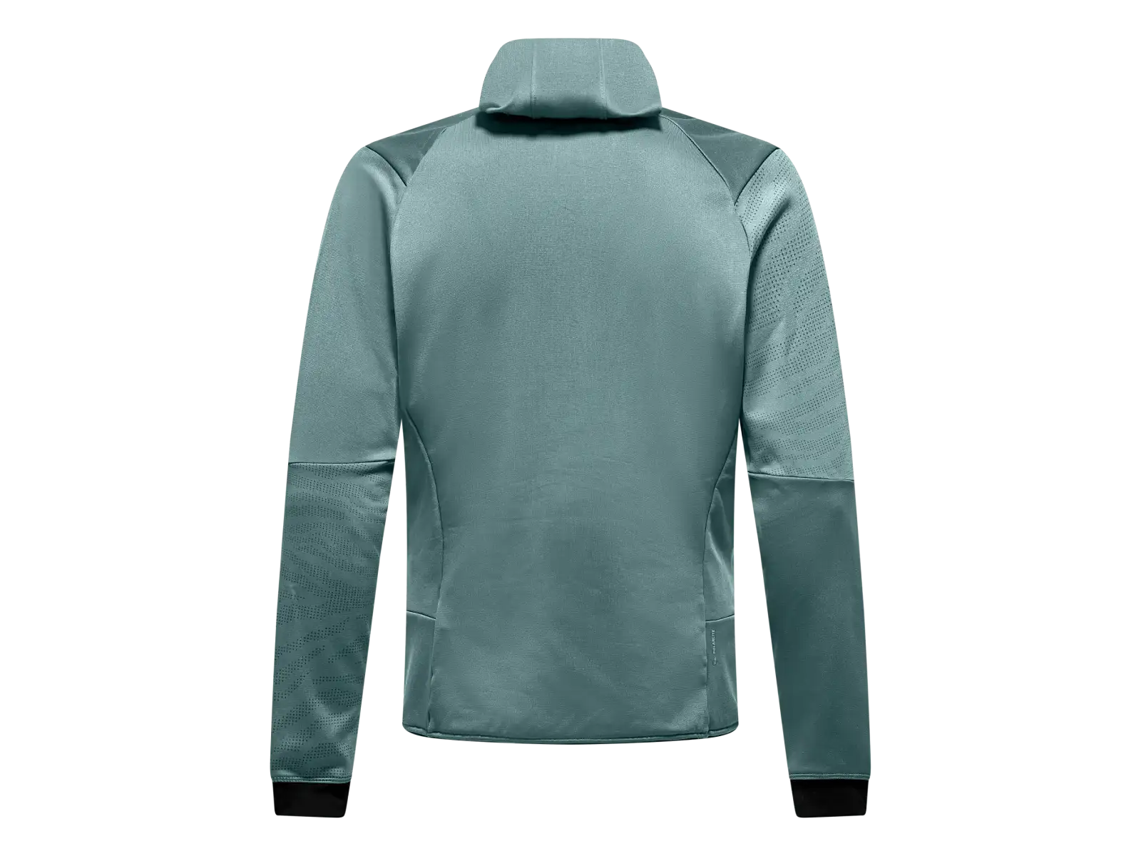 Salewa Sella Crevasse Hooded men's sweatshirt Willow