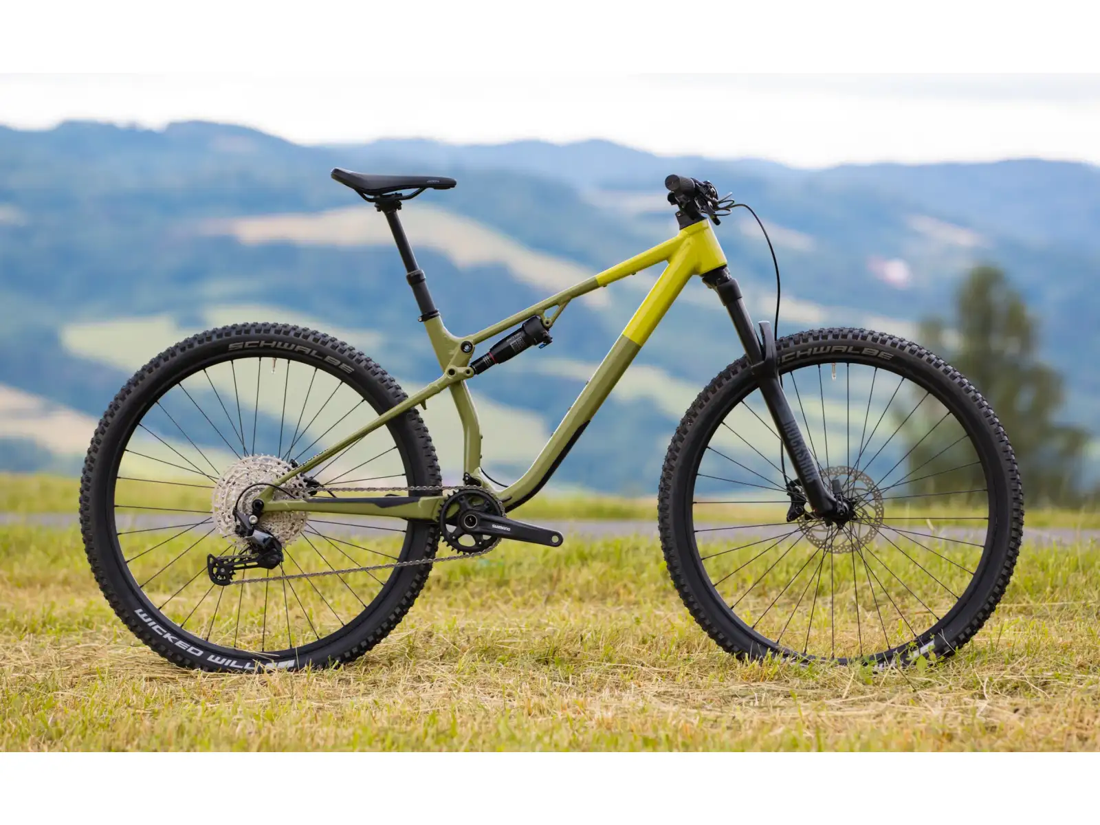 Superior XF 6.2 DC mountain bike Gloss Olive