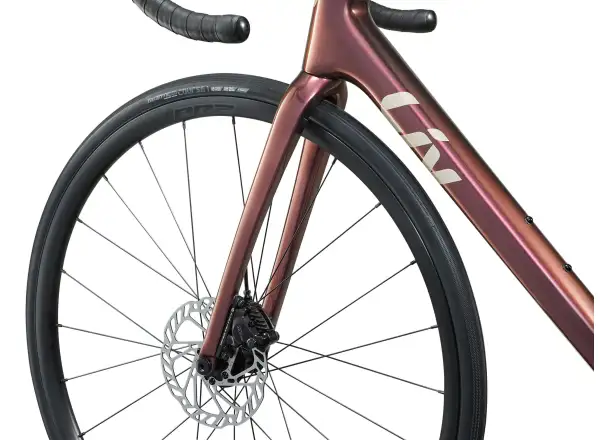Liv Langma Advanced Pro 1 PC road bike Mechanic Rose