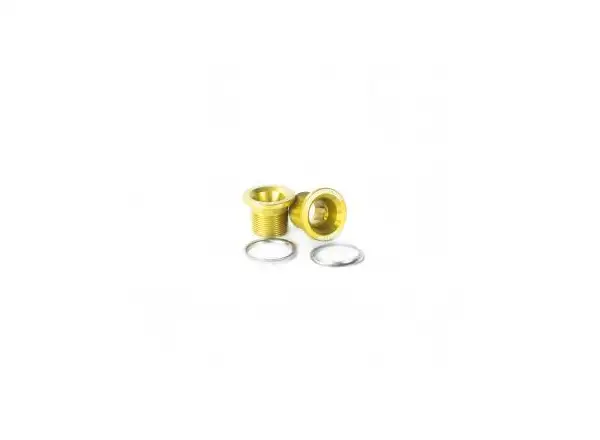 Leonardi Factory Bolt Capo crank bolts gold