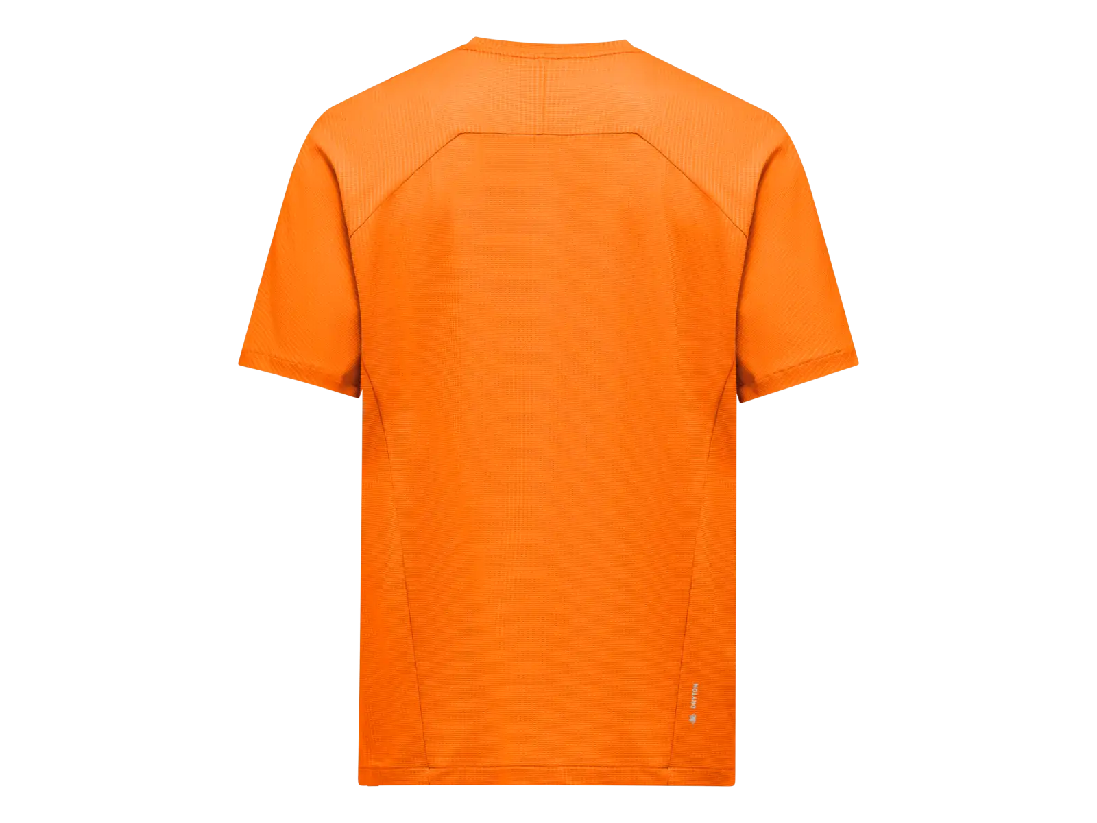 Salewa Pedroc Dry Light men's short sleeve T-shirt Turmeric