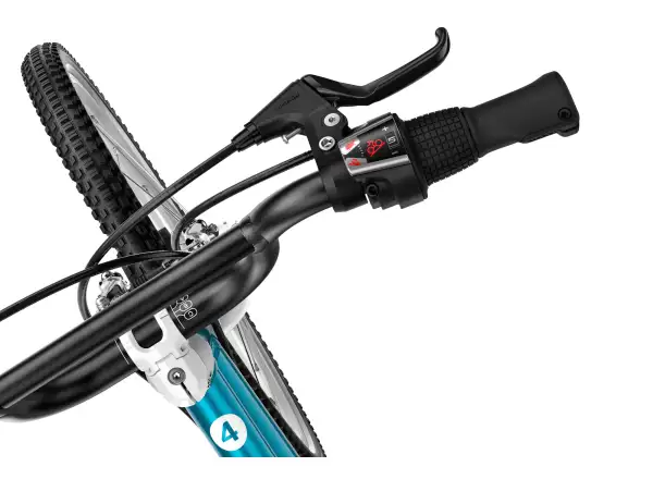 Woom GO 4 children's bike 20" Metallic Blue