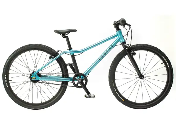 Rascal 24 7 sp. Shimano Nexus kids bike Aquamarin