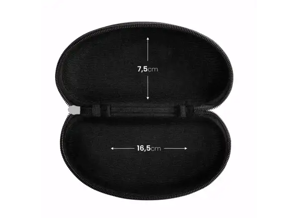 Force Case hard glasses case black