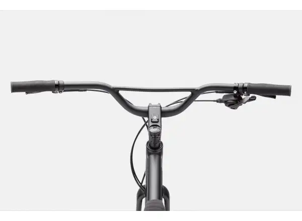 Cannondale Treadwell 2 Ltd fitness bike Raw