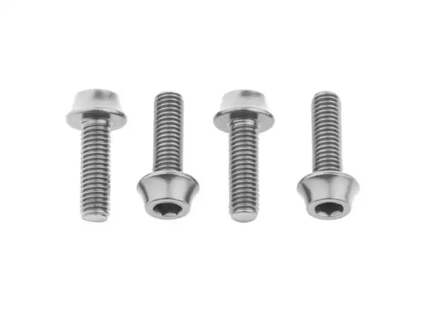 WOLF TOOTH bolts for cage silver