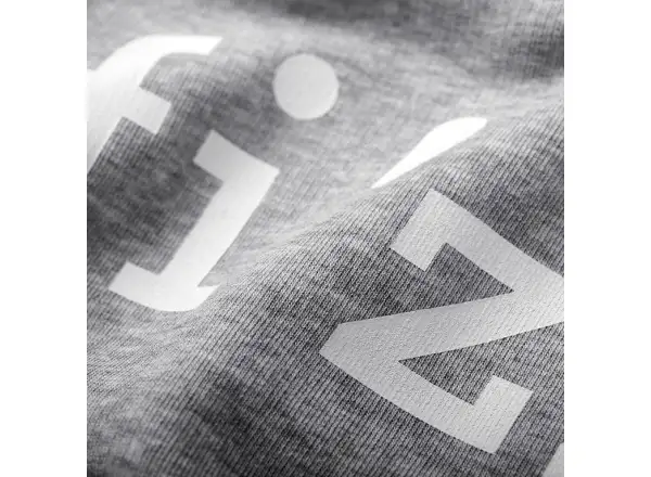 Fizik Logo hoodie Gray