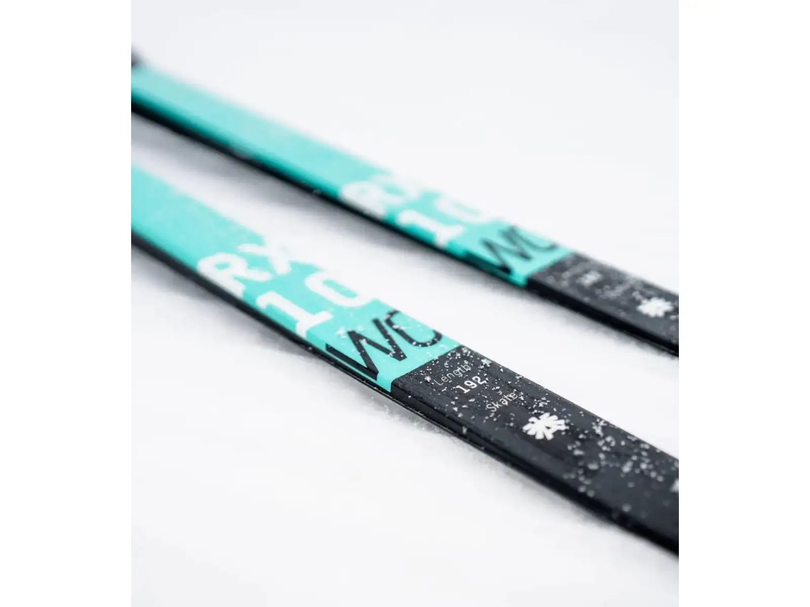 Kästle RX10 WC Skate Plus Medium cross-country skis
