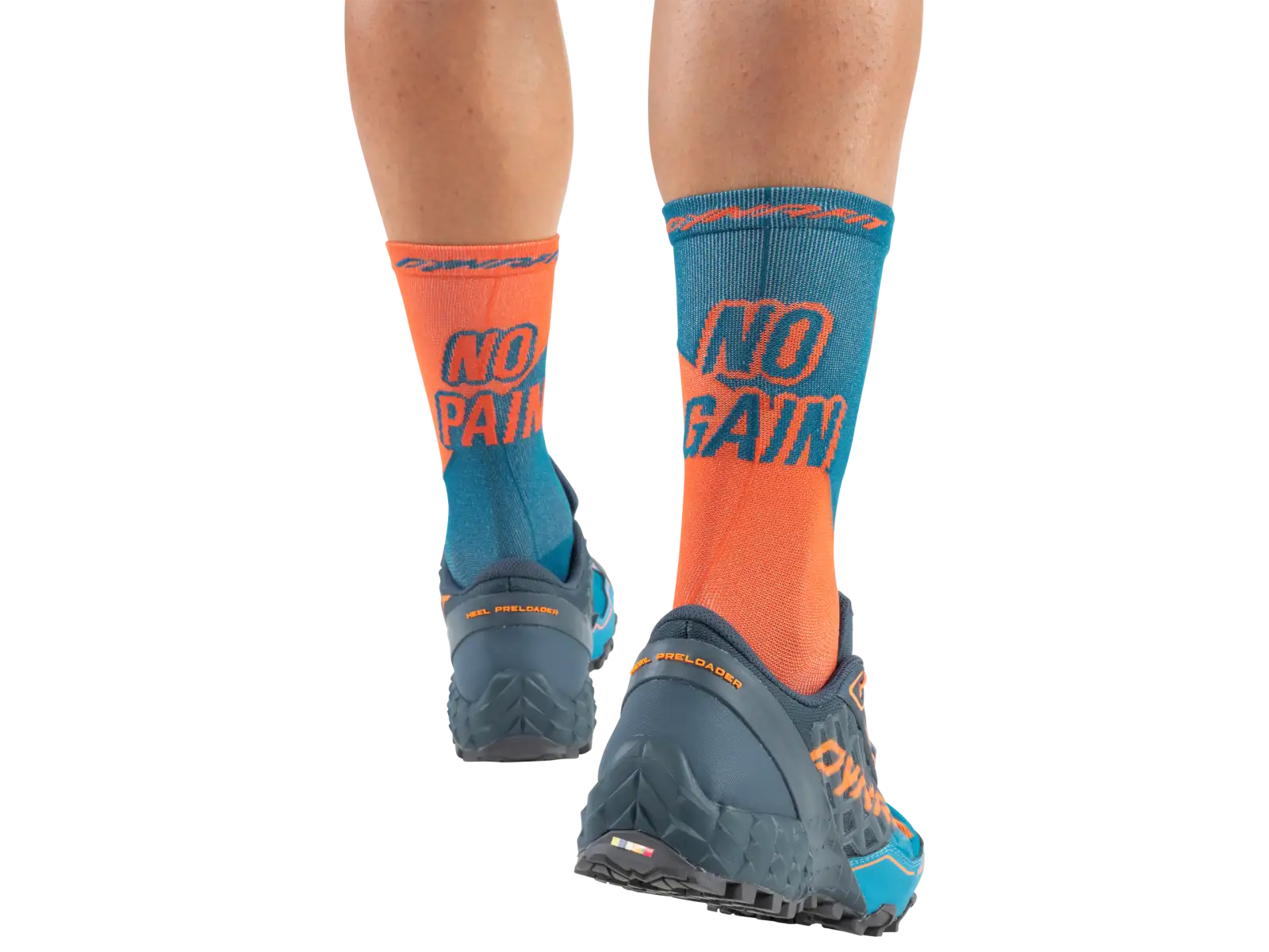 Dynafit No pain No gain sports socks Dawn Reef