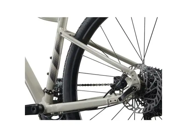 Giant Rove 3 trekking bike Pulp Gray