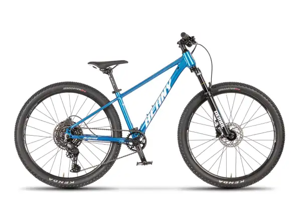 Beany Blaster 24 children's bike Blue