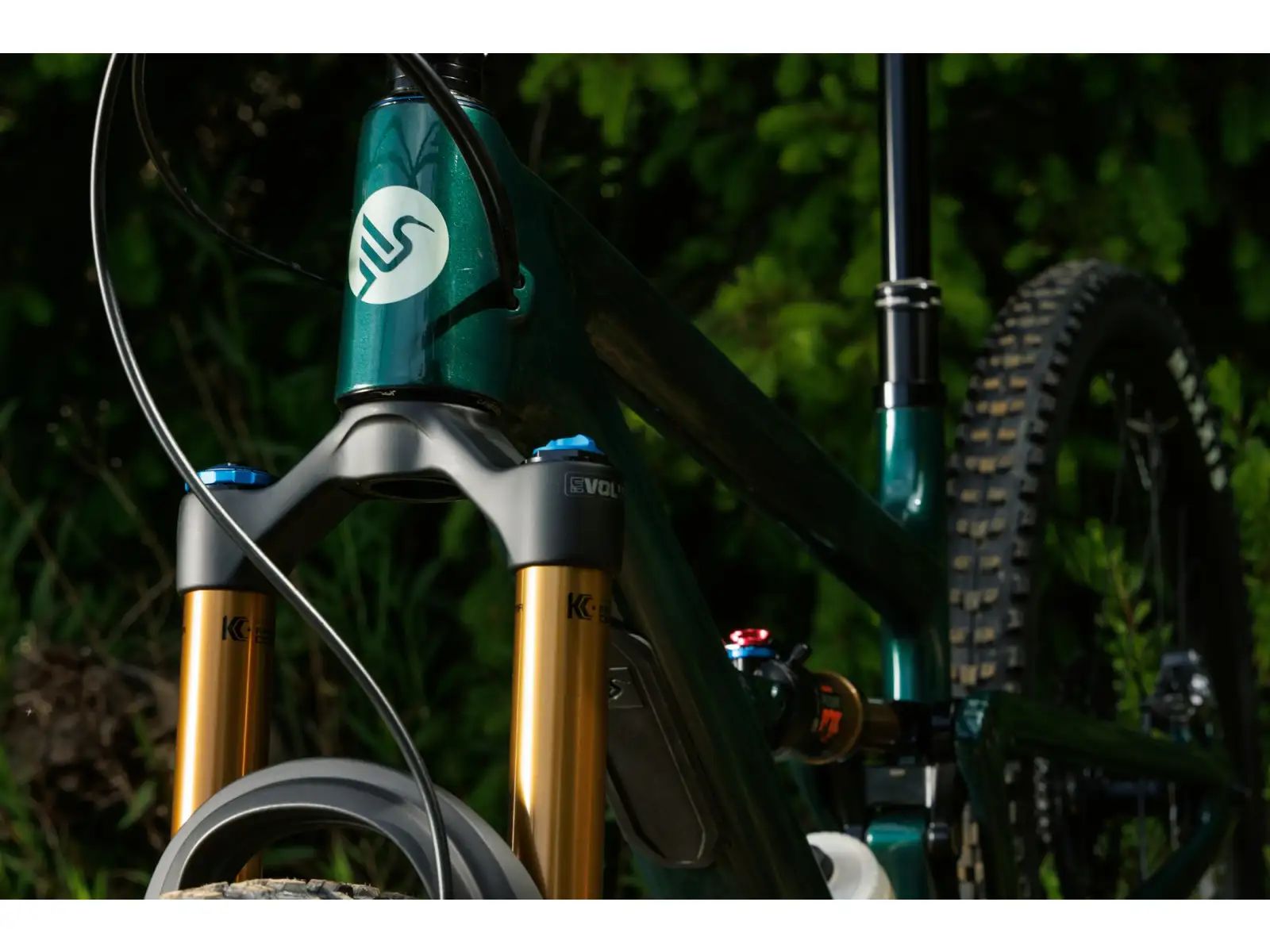 Ibis Ripley V5 frame set Green Flash