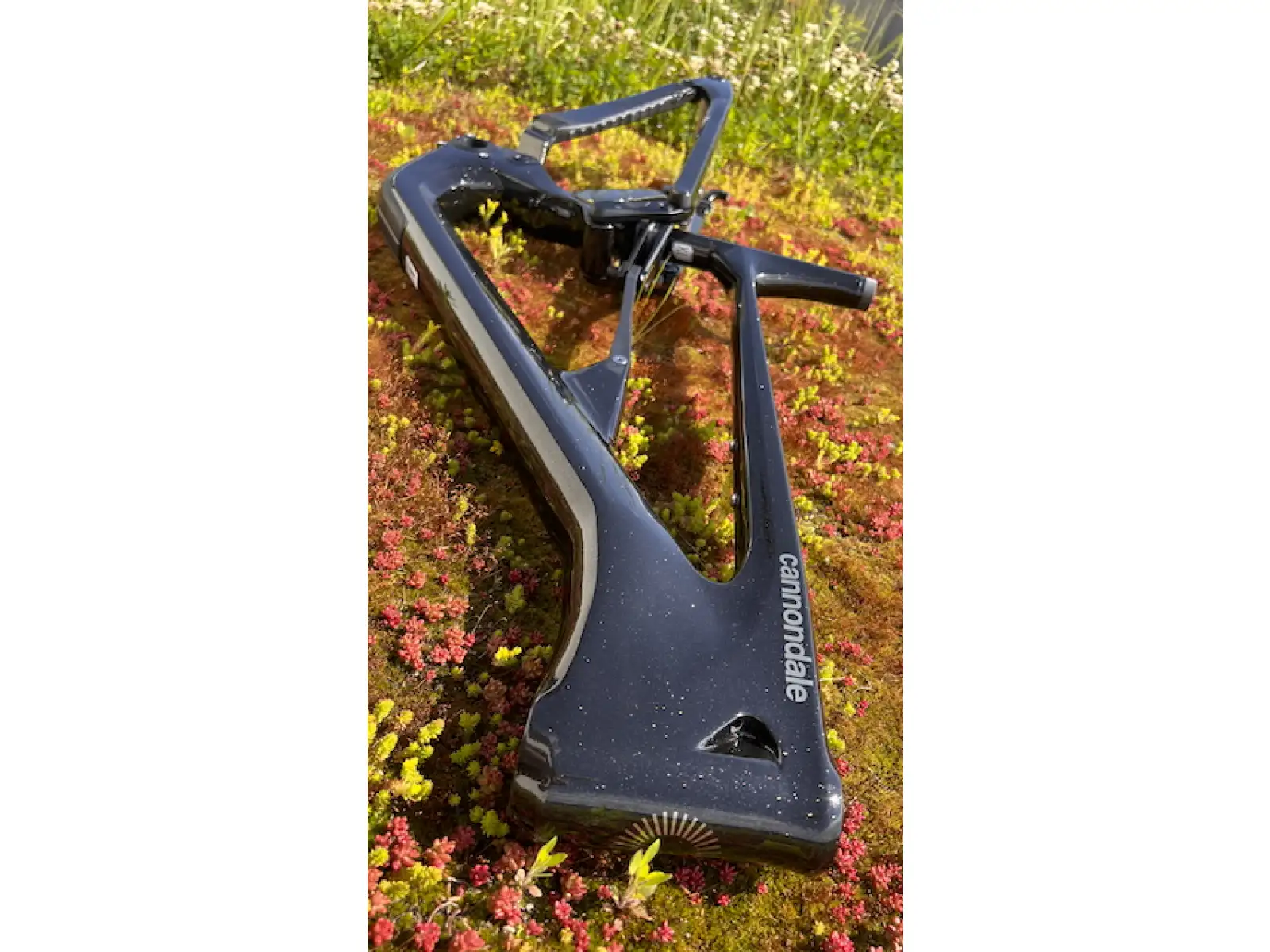 Cannondale Habit Carbon 29" MTB frame GDT