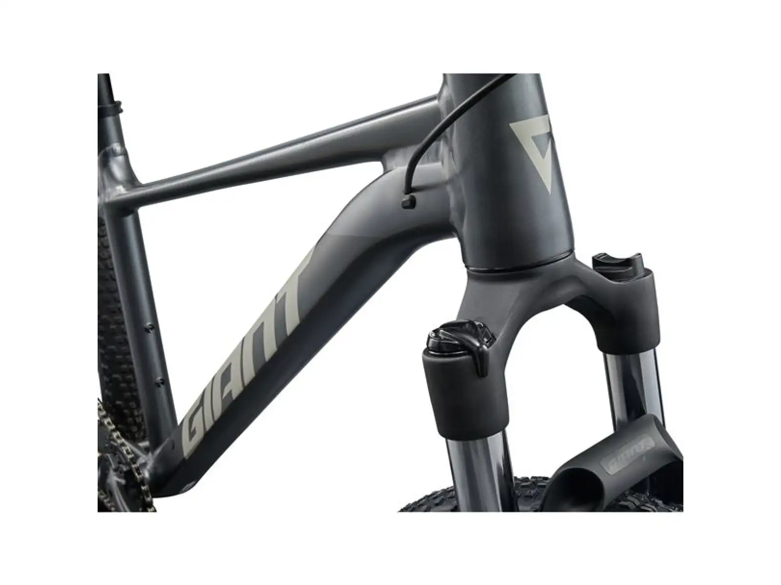 Giant Talon 29 1 mountain bike Charcoal