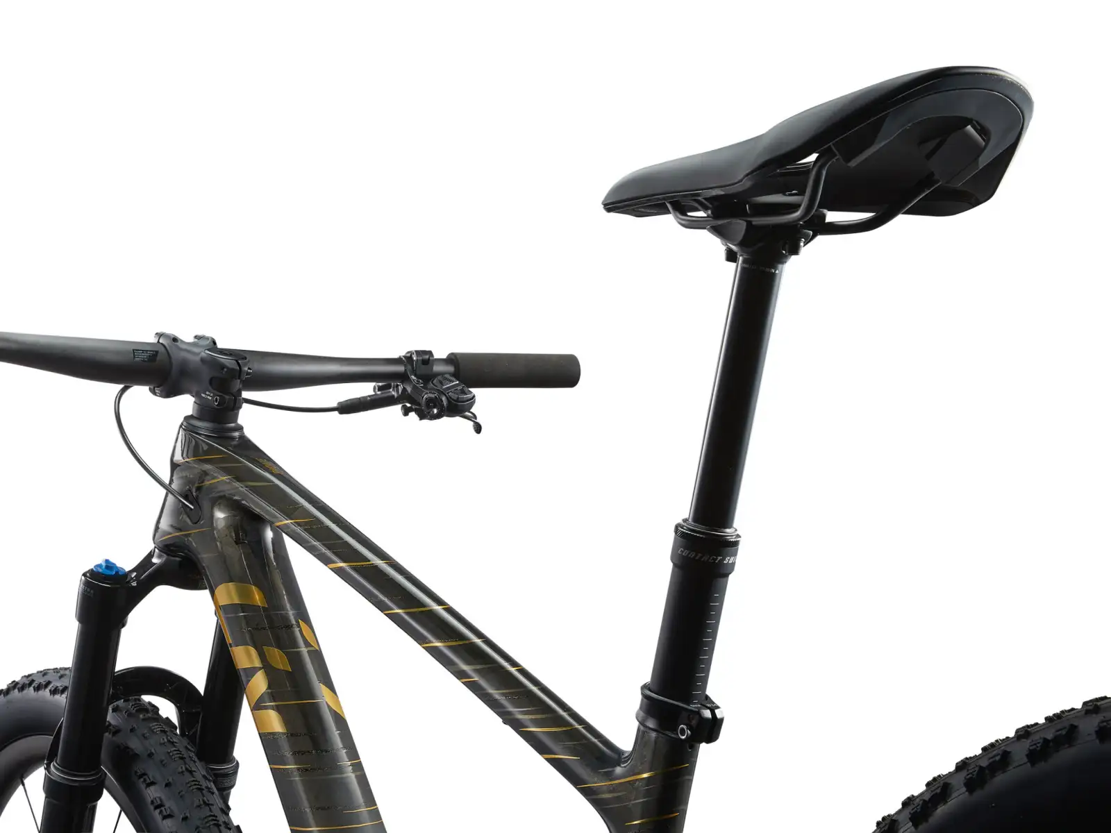 Liv Pique Advanced 29 1 mountain bike Raw Carbon