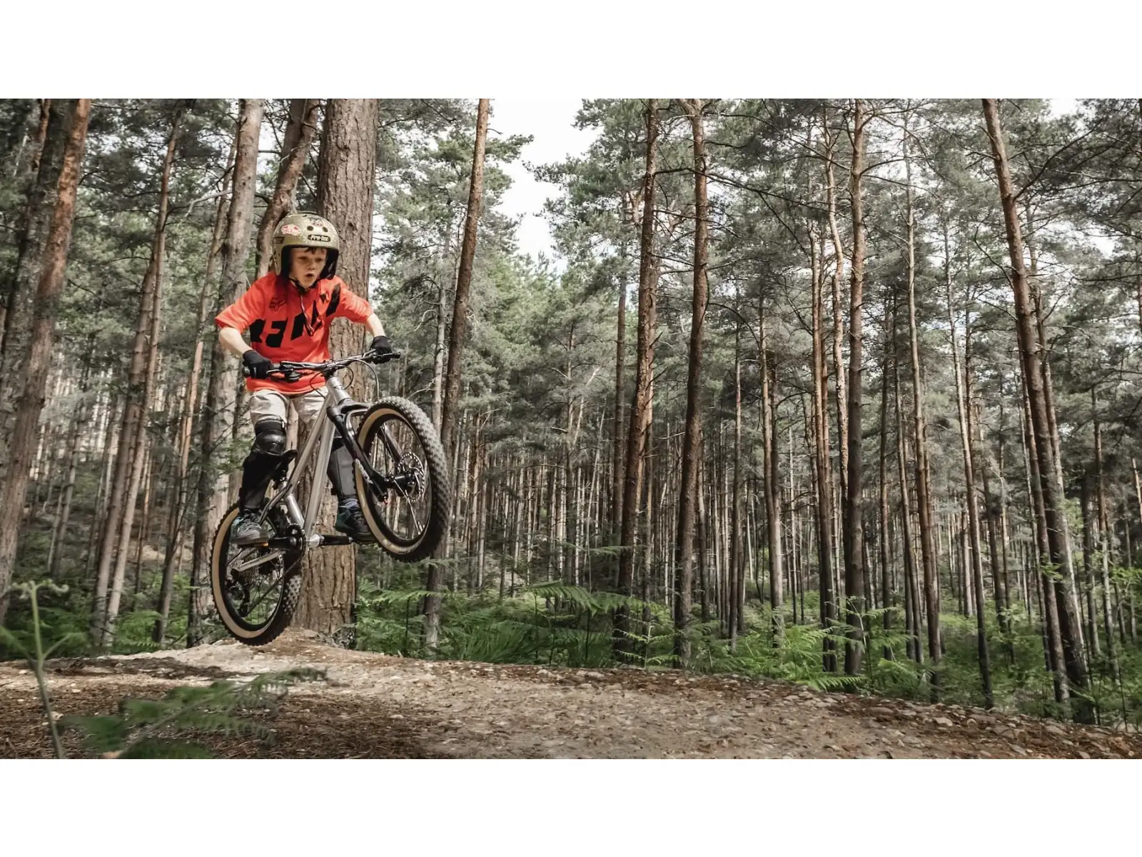Early Rider Hellion 20 children's bike Brushed Aluminium