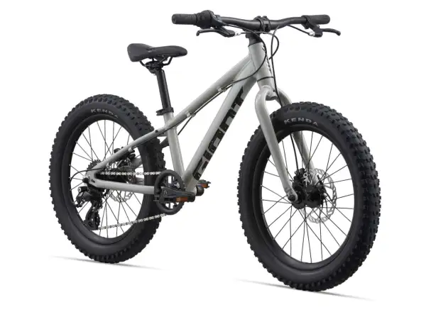 Giant STP 20 children's bike Concrete