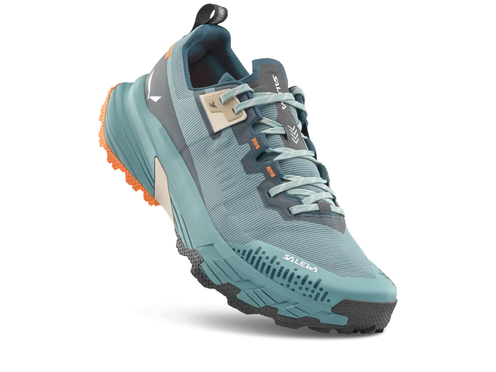 Salewa Pedroc 2 Max men's shoes Willow/Pond