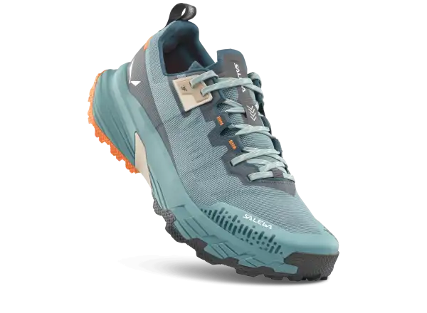 Salewa Pedroc 2 Max men's shoes Willow/Pond