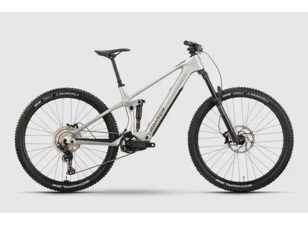 Raymon Airok full-suspension electric bike Silver Stealth/Taupe