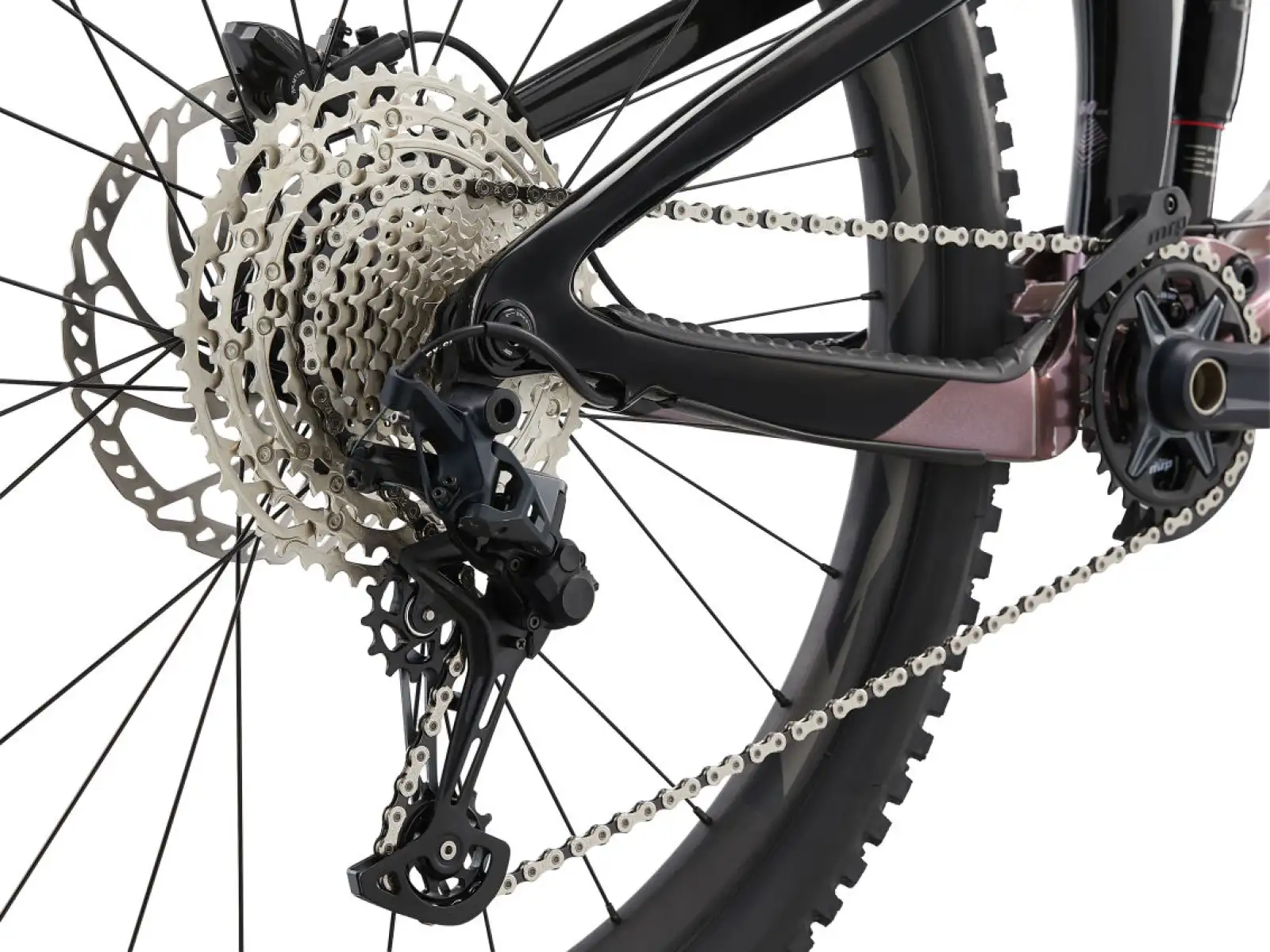 Giant Reign Advanced Pro 2 mountain bike Orion Nebula/Carbon