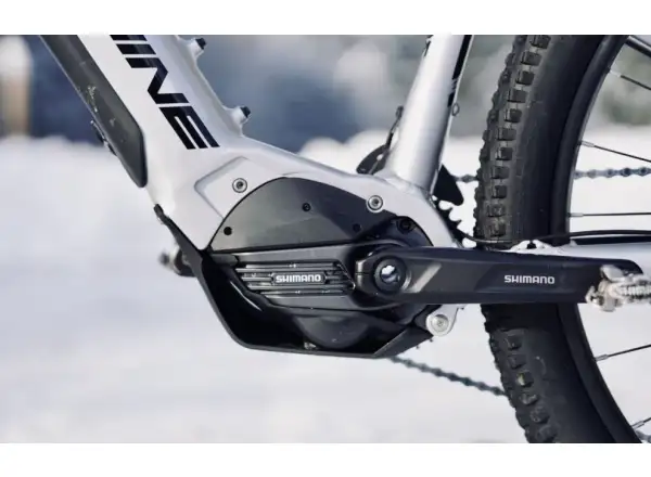 Rock Machine Blizz e60-29 Gloss Silver/Black mountain e-bike