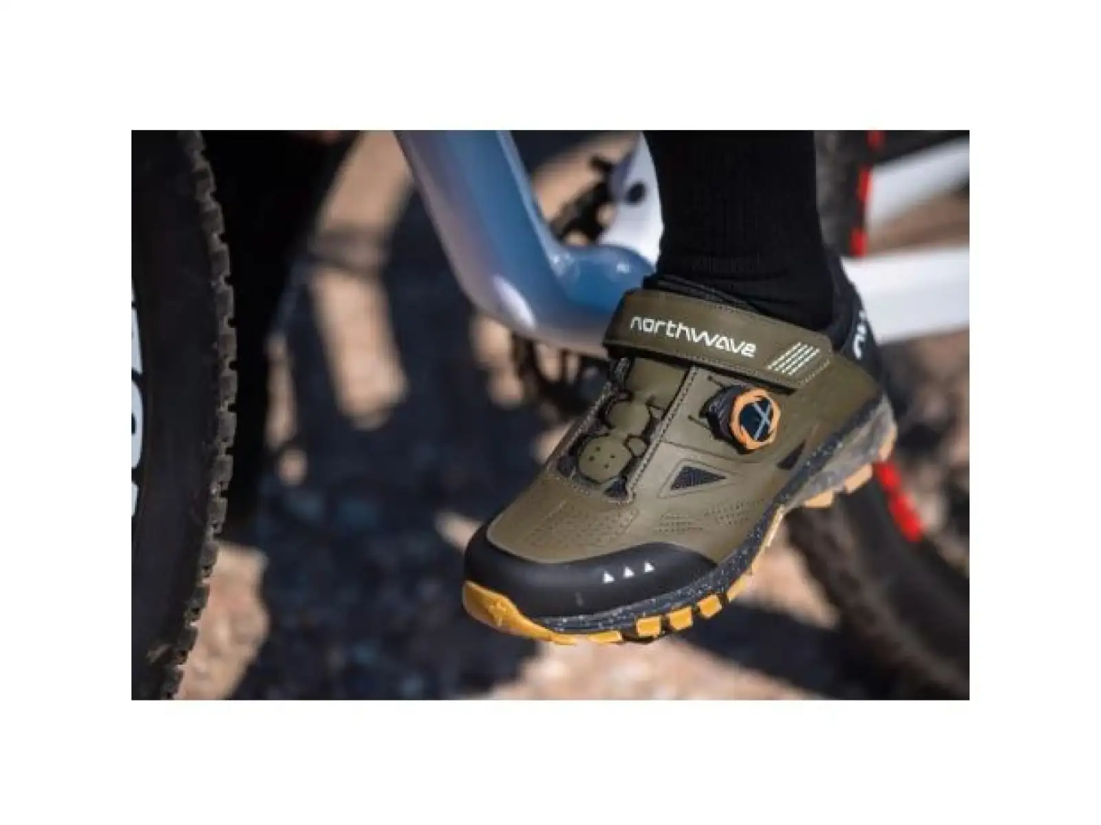 Northwave Spider Plus 3 MTB Shoes Men Forest