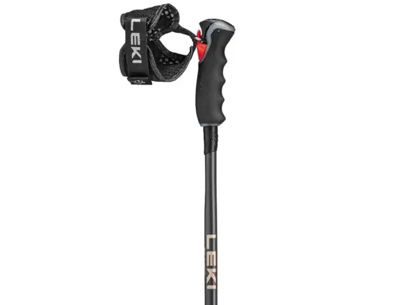 Leki Artena Airfoil 3D downhill poles Black/Dark Anthracite/Rosegold