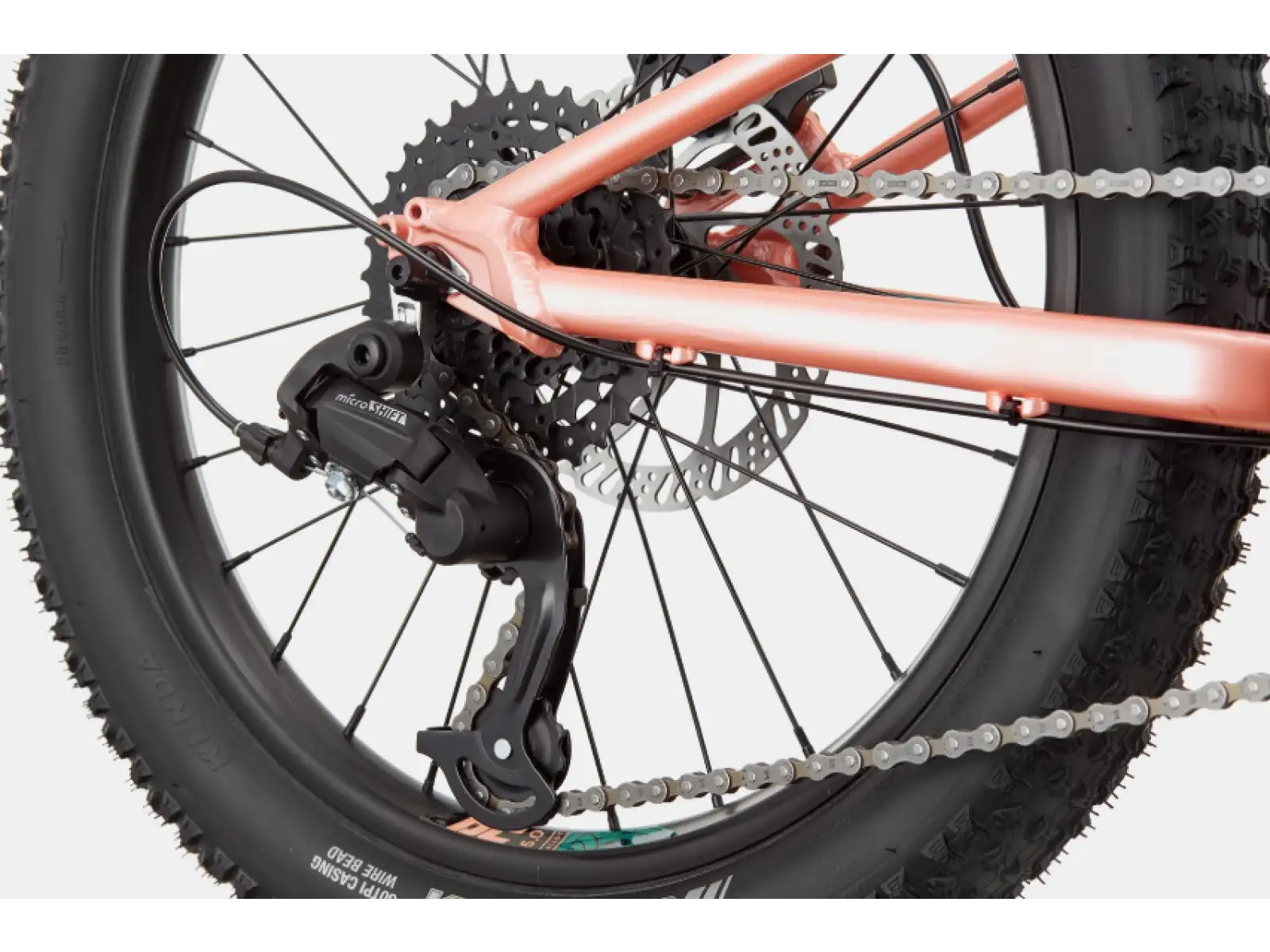 Cannondale Trail Plus 20 children's bike Salmon