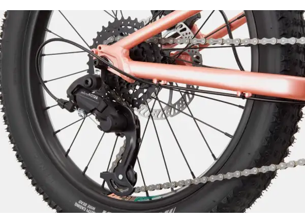 Cannondale Trail Plus 20 children's bike Salmon
