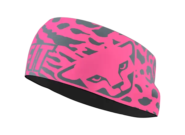 Dynafit Graphic Performance headband Cabana/Gradient